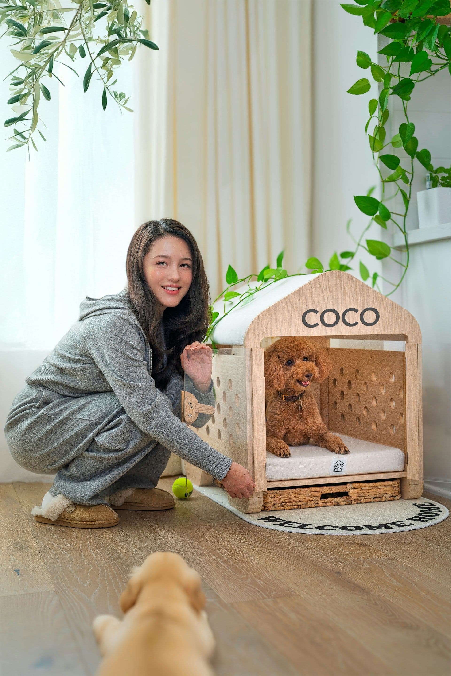 Dog Boarding Gallery 4